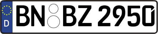 BN-BZ2950