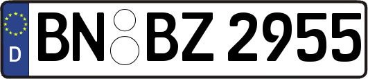 BN-BZ2955
