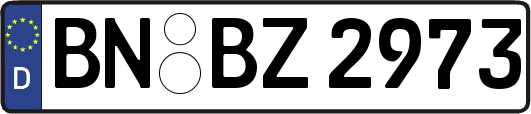 BN-BZ2973