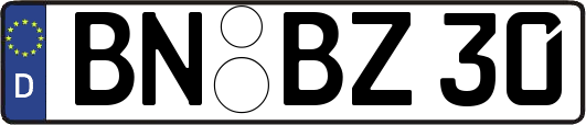 BN-BZ30