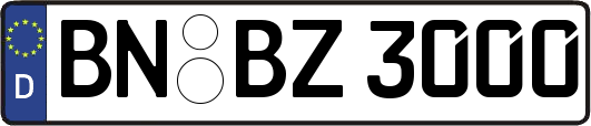 BN-BZ3000