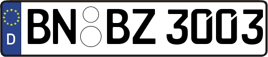 BN-BZ3003