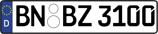 BN-BZ3100