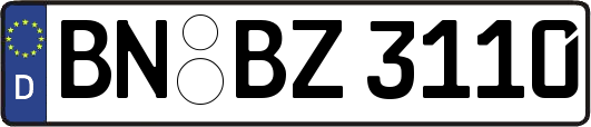 BN-BZ3110