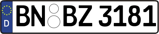 BN-BZ3181