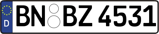 BN-BZ4531