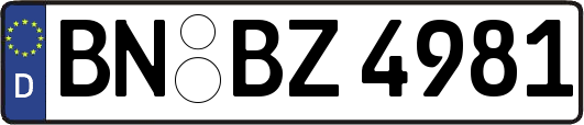 BN-BZ4981