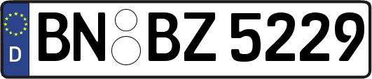 BN-BZ5229