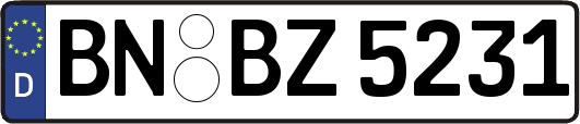 BN-BZ5231