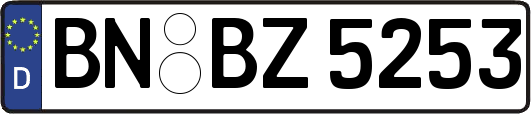 BN-BZ5253