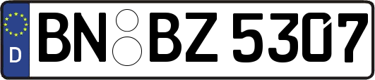 BN-BZ5307