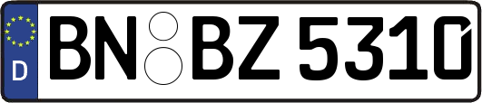 BN-BZ5310