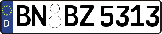 BN-BZ5313