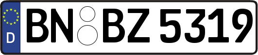 BN-BZ5319