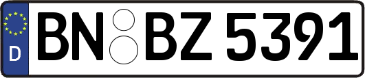 BN-BZ5391