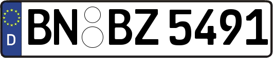 BN-BZ5491