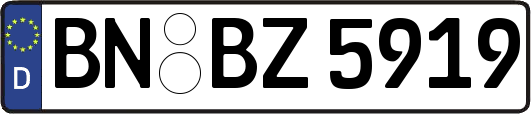 BN-BZ5919