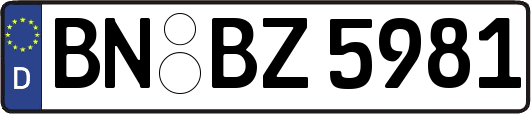 BN-BZ5981