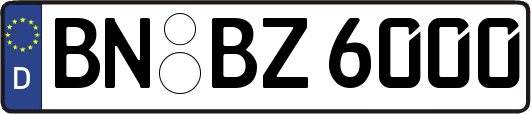 BN-BZ6000