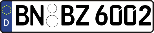 BN-BZ6002