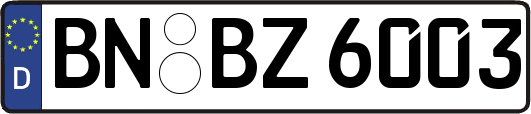 BN-BZ6003