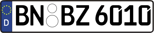 BN-BZ6010
