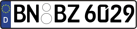 BN-BZ6029