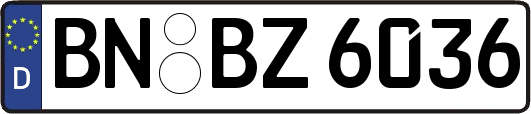 BN-BZ6036