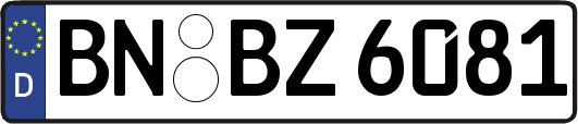 BN-BZ6081