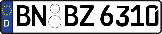 BN-BZ6310