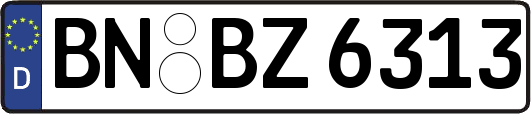 BN-BZ6313