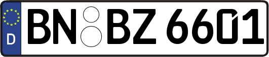 BN-BZ6601