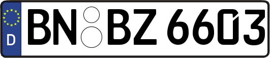 BN-BZ6603
