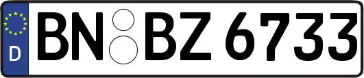 BN-BZ6733