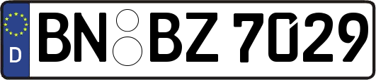 BN-BZ7029
