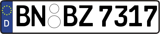 BN-BZ7317