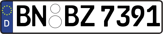BN-BZ7391