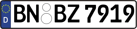 BN-BZ7919