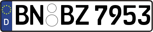 BN-BZ7953