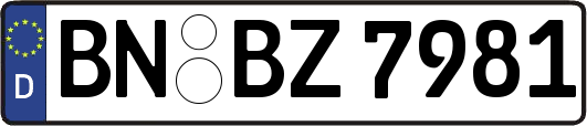 BN-BZ7981