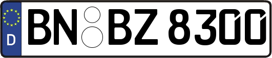 BN-BZ8300
