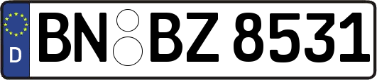BN-BZ8531