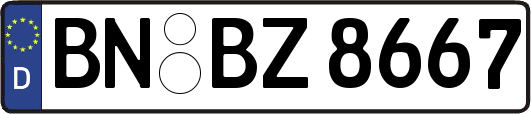 BN-BZ8667