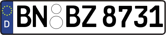 BN-BZ8731