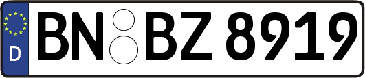 BN-BZ8919