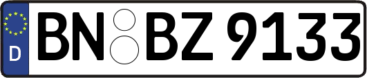 BN-BZ9133