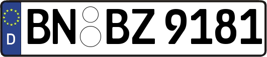 BN-BZ9181