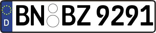 BN-BZ9291