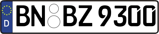 BN-BZ9300