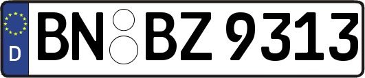 BN-BZ9313